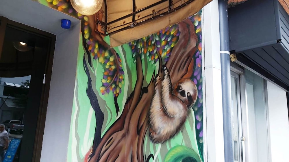 Hotel del Paseo - Hostel