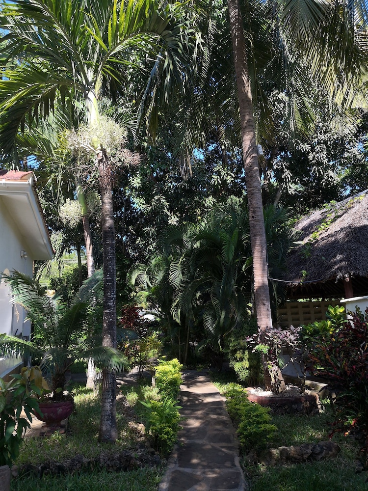 Jamboland-Diani