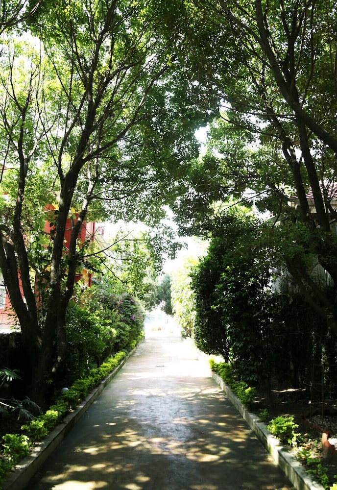 Photo 23