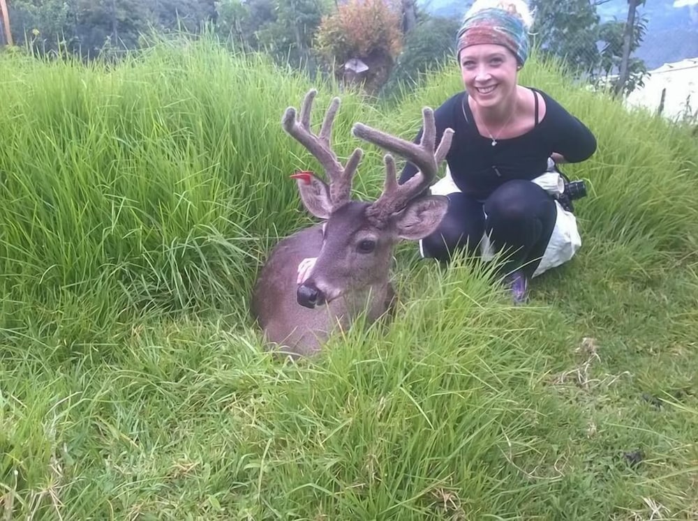 Rutun Orquídeas