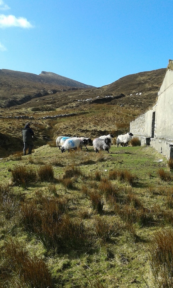 West Coast House BB - Property Image 38