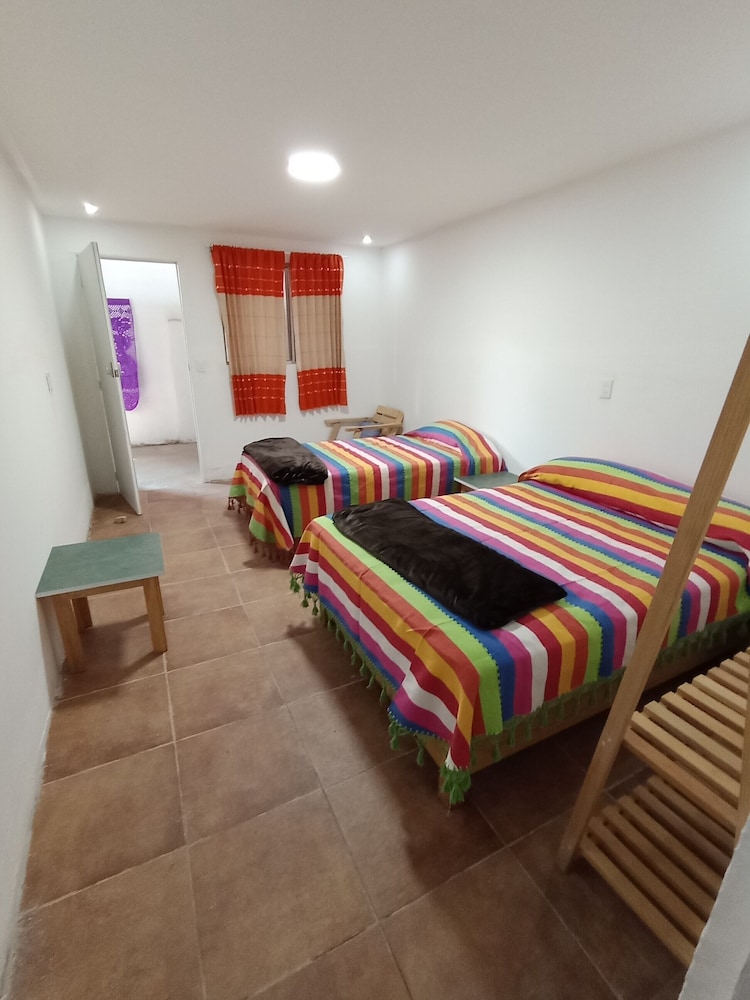 Iguana Co-living