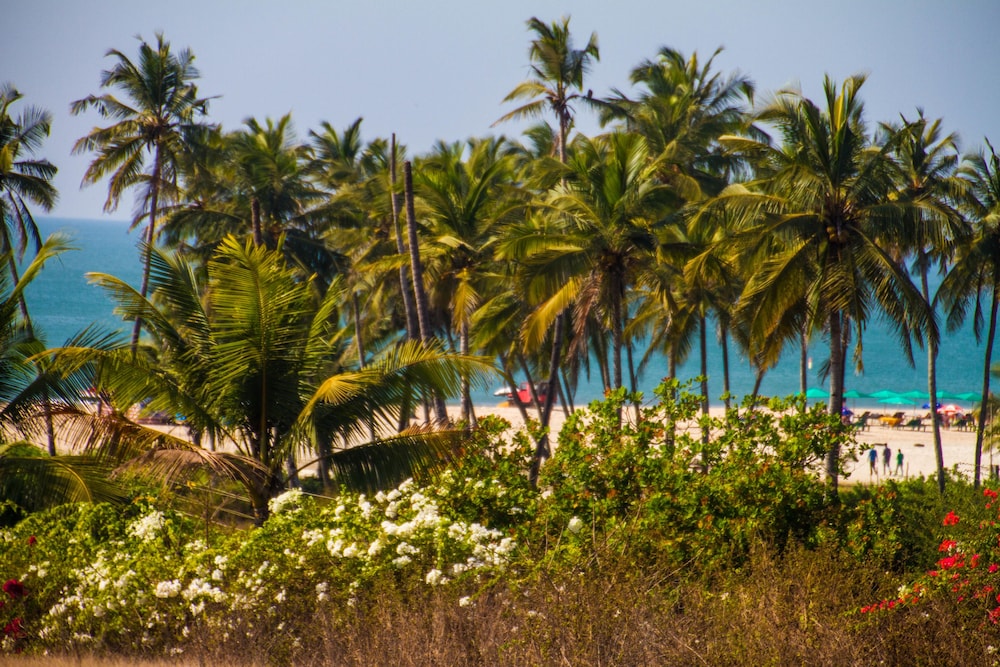 Praia Da Oura - Boutique Resort