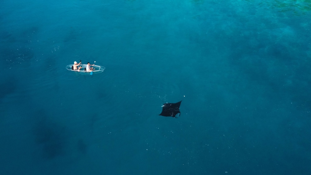 ANDAU DIVE RESORT - RAJA AMPAT