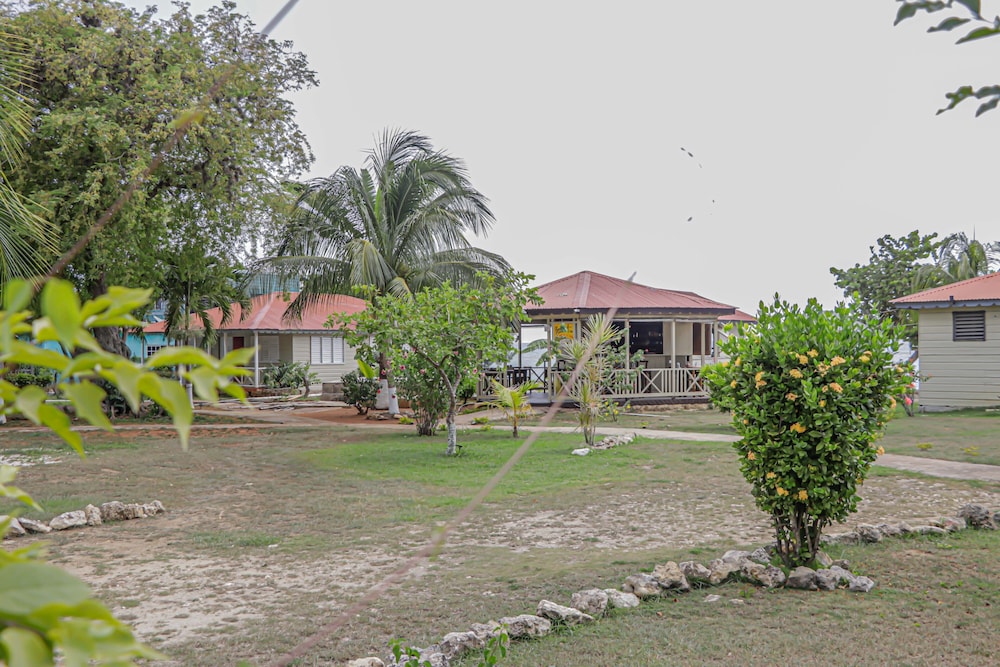 Photo 23