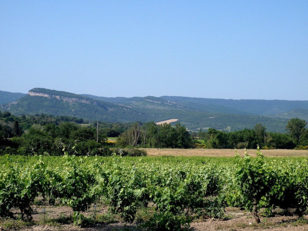 Le Gîte Vigneron photo 2