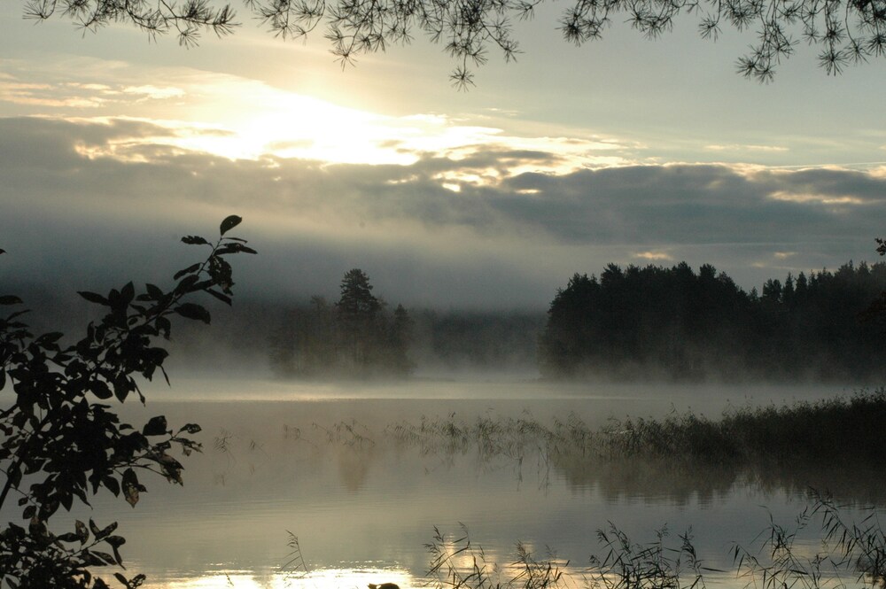Photo 64