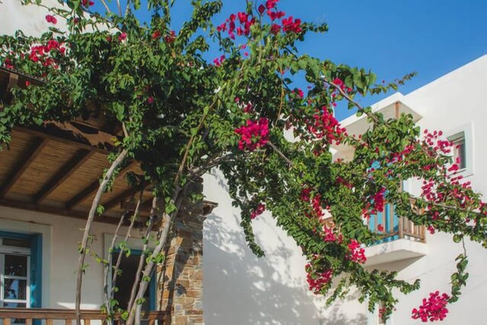 Andros Maisonettes