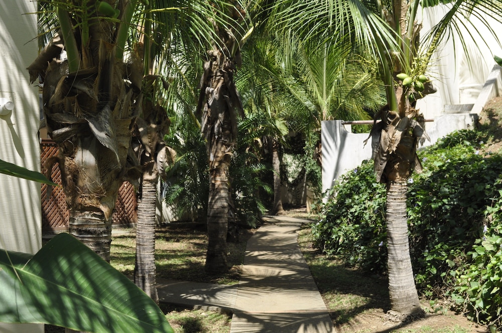 Tropical Gardens