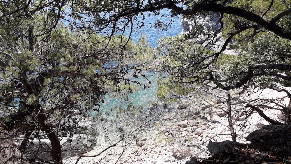 Room-wonderfull View to the Entire bay o