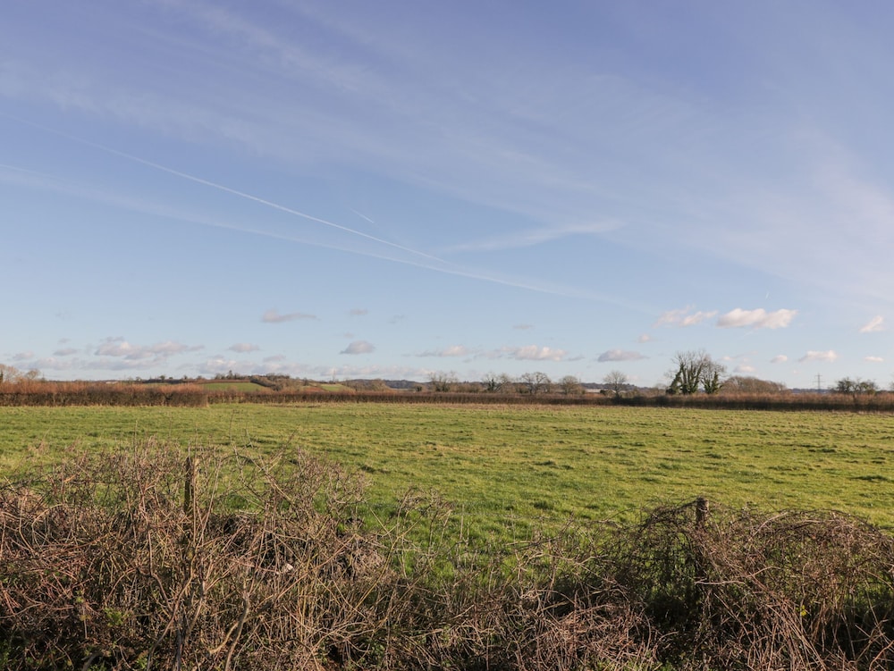 Bilsham Meadows