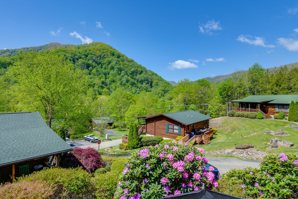 Maggie Valley Cabin 4 Mi to Cataloochee Ski Area! view 2