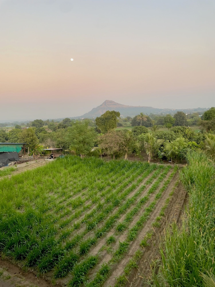 Fulgulab Lawns & Homestays