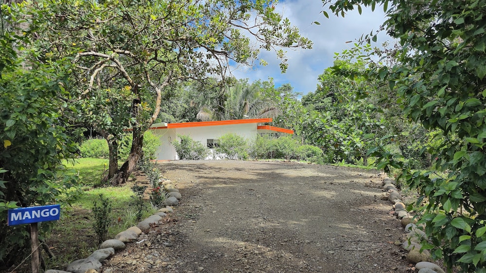 Villa Pura Vida - Mango