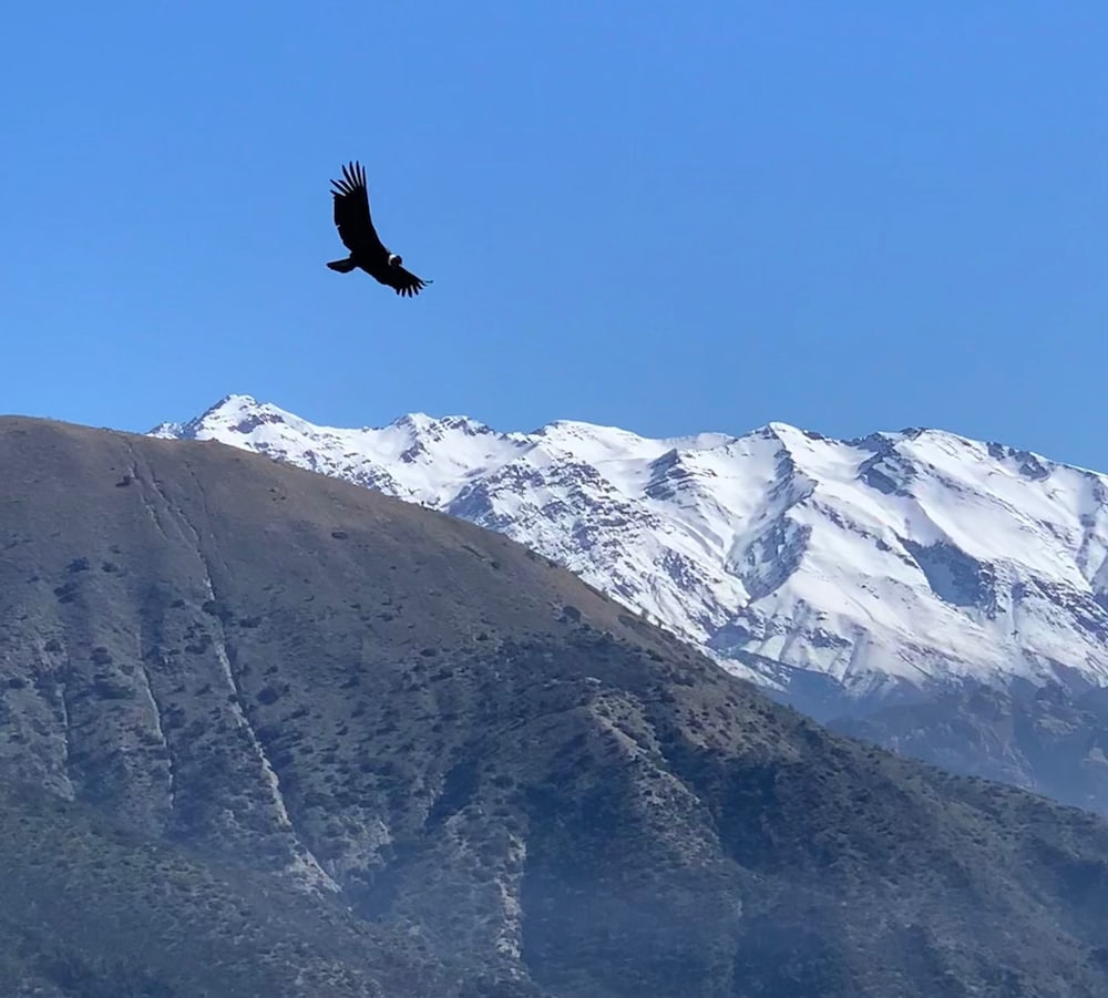 Origen del Maipo Lodge