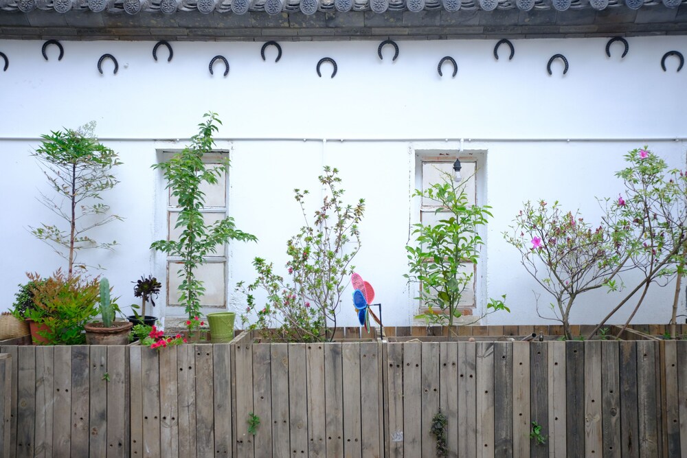 Dali Yo Yard