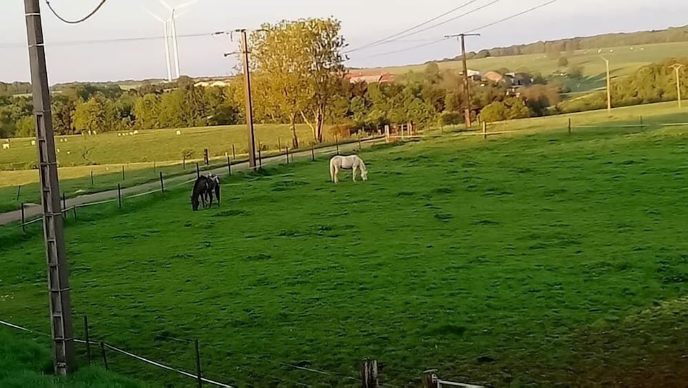 Jad Ranch view 2