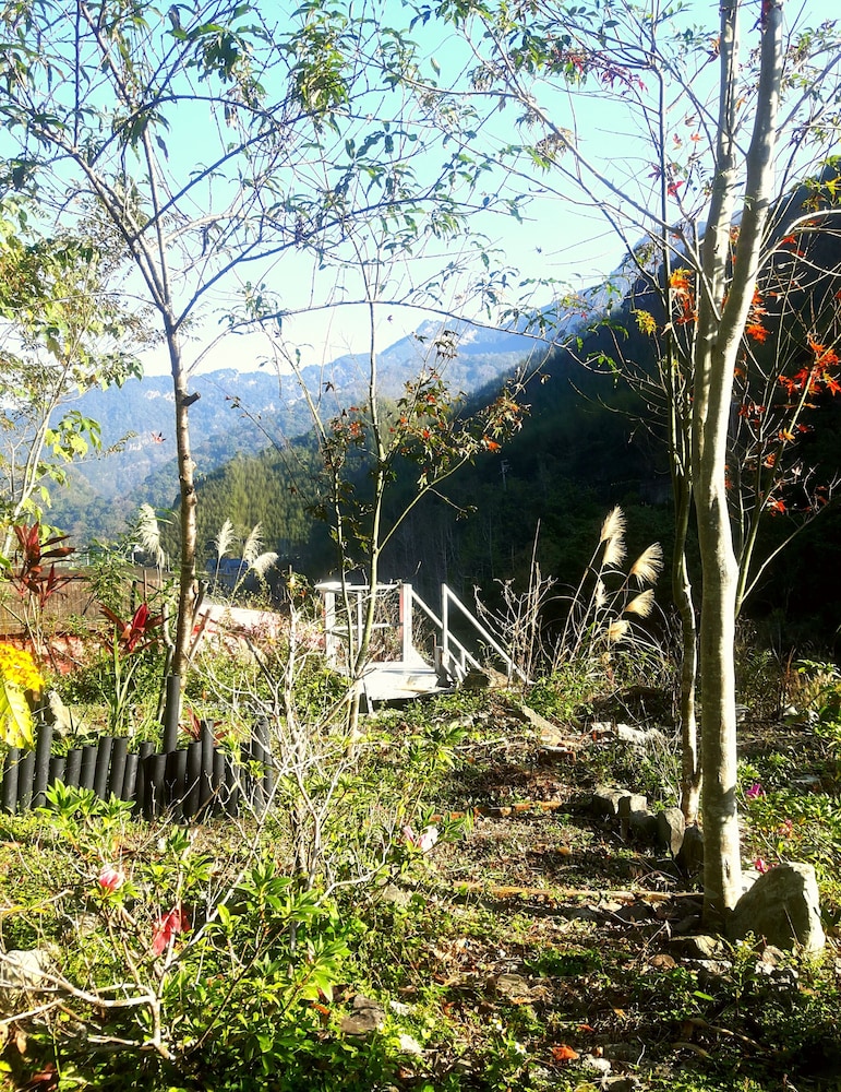 Photo 45