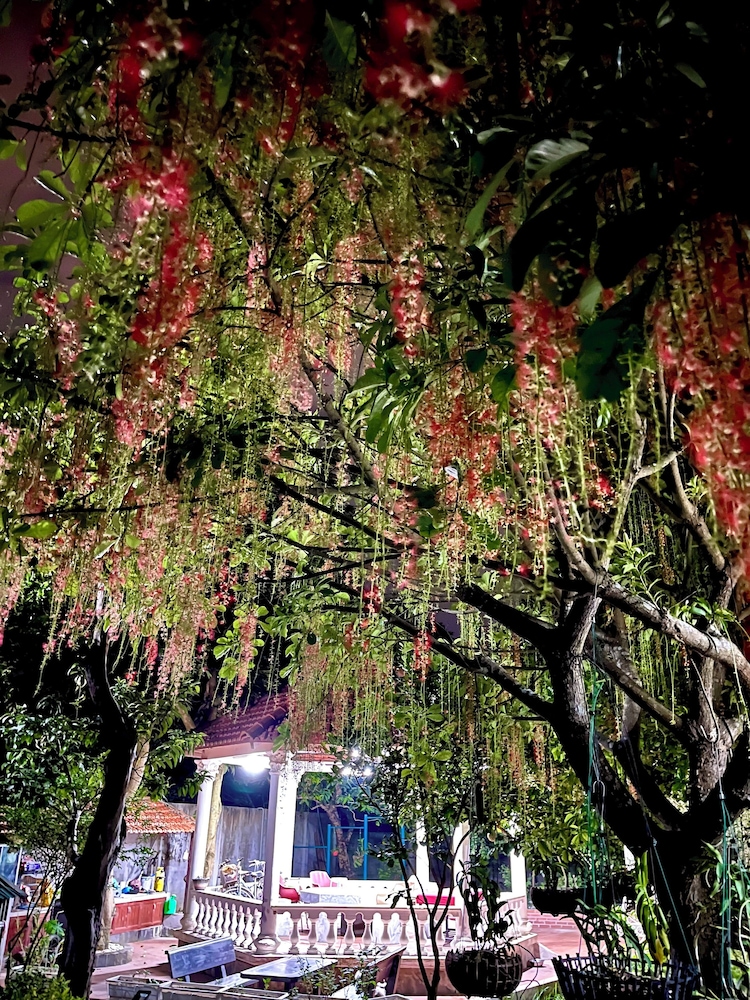 J'adore Garden House - Vinh Yen