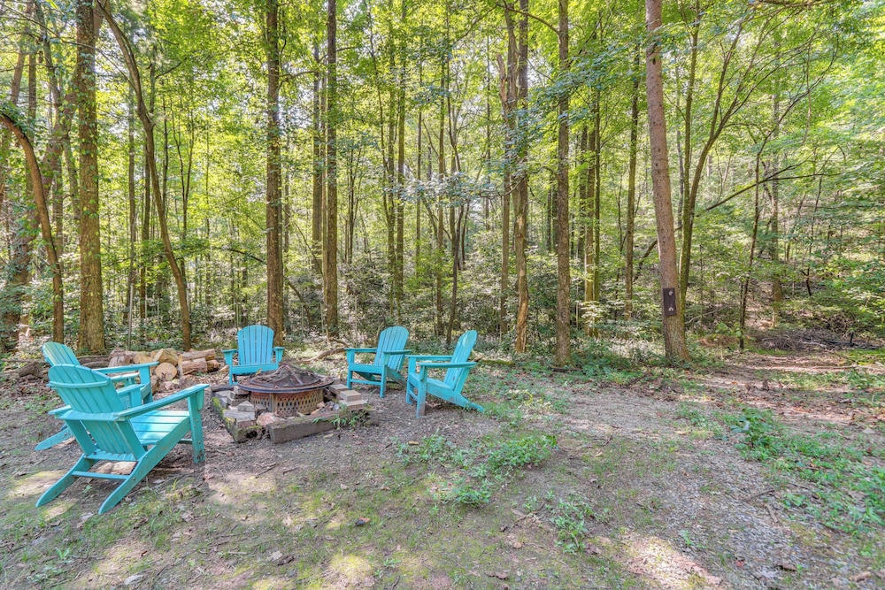 Ellijay Getaway: Fire Pit + Hot Tub view 3