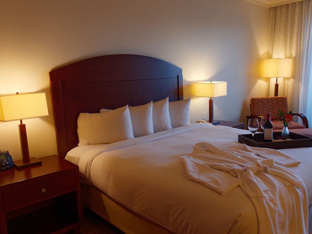 Costa Bahia Hotel Paseo Caribe - Property Image 33
