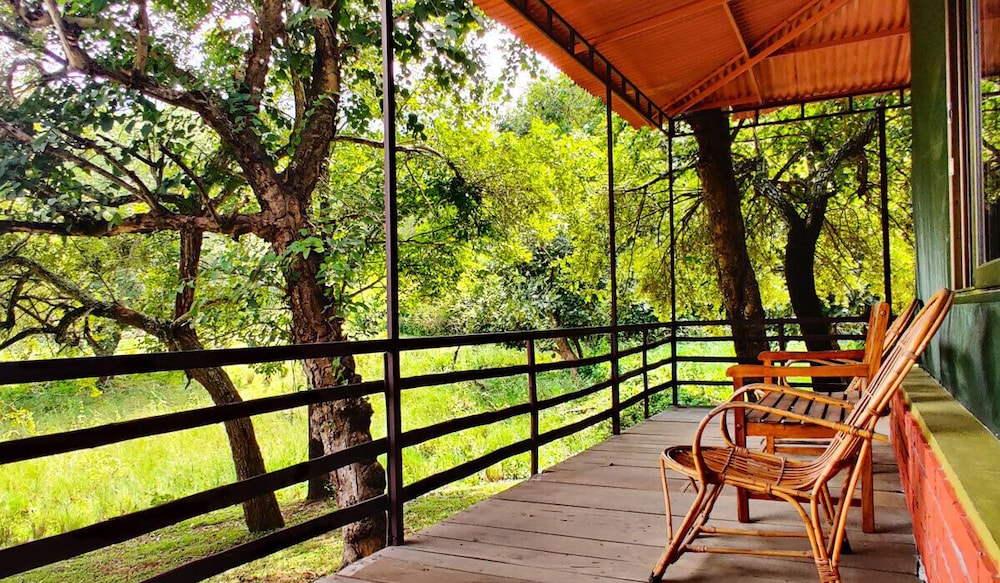 Jungle Hut Resorts