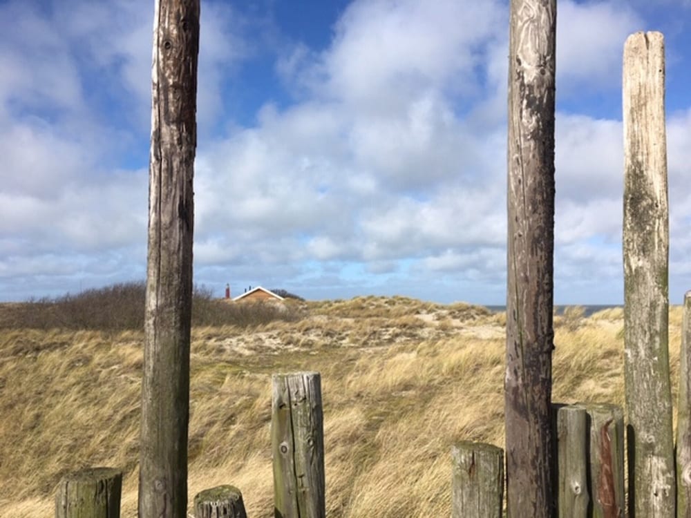 Pet-friendly Texel Escape view 2