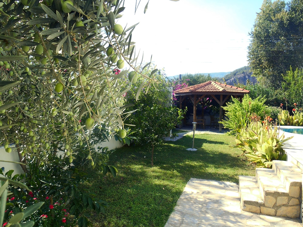 Photo 44