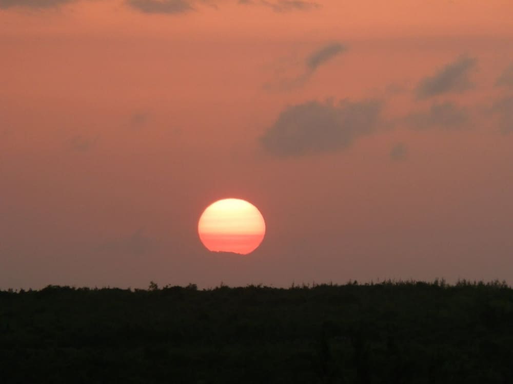 Mfumbwi Backpacker Lodge