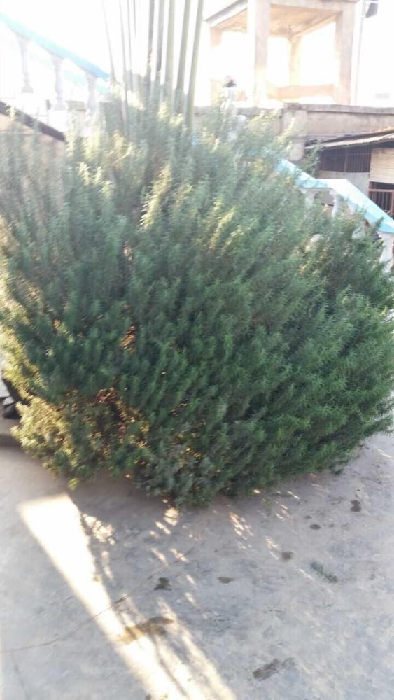 Photo 26