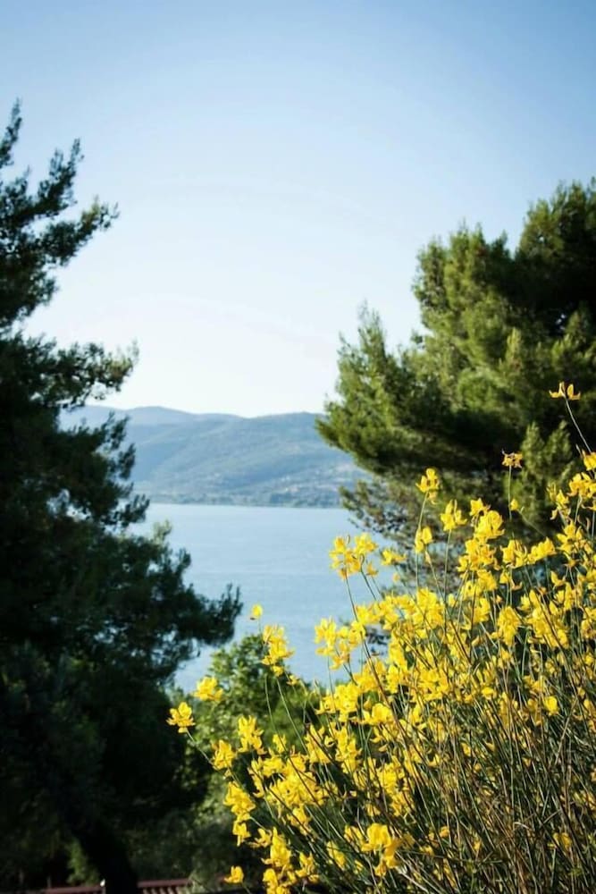 Camping Villaggio Cerquestra