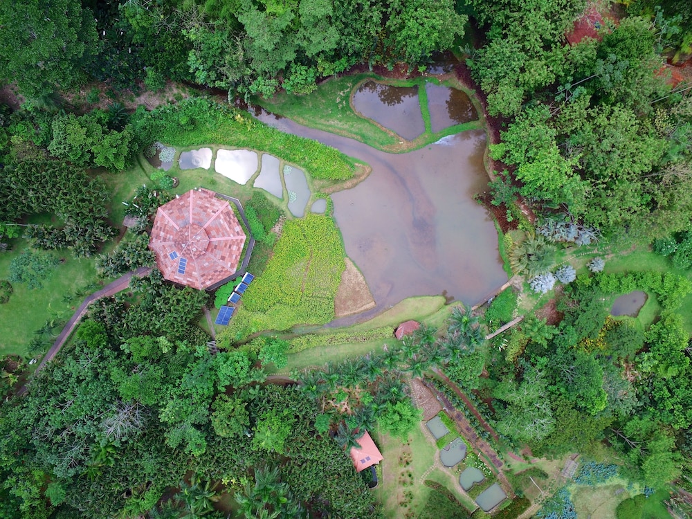 Macaw Lodge