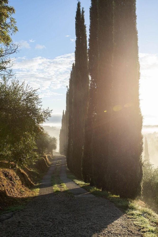 Luxury 6-bed Tuscan Villa Near Lucca and Florence view 5