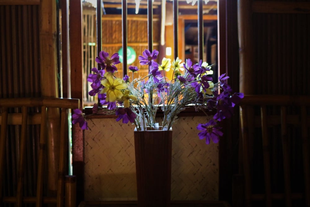 Under the coconut tree - Hostel