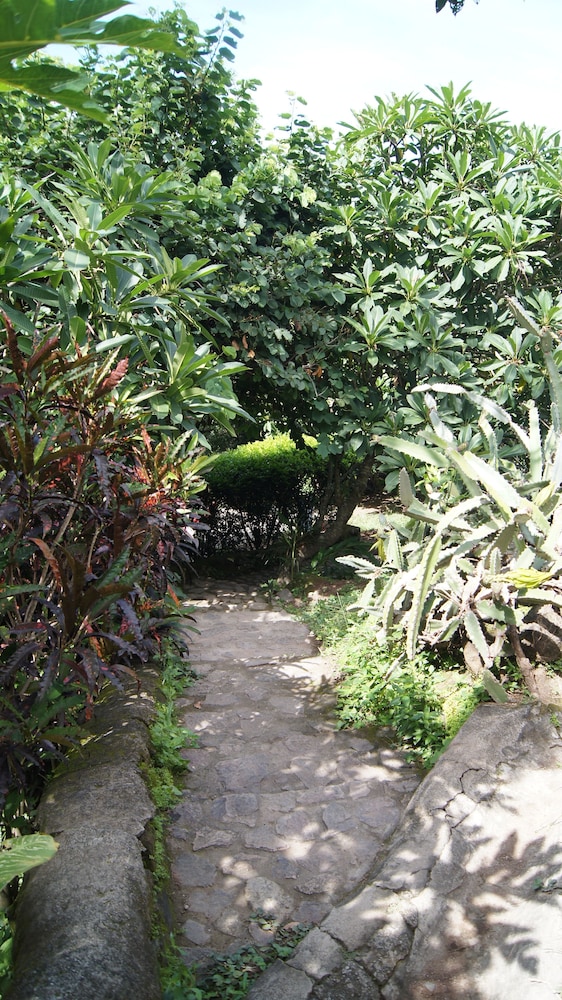 Aroma de Campo