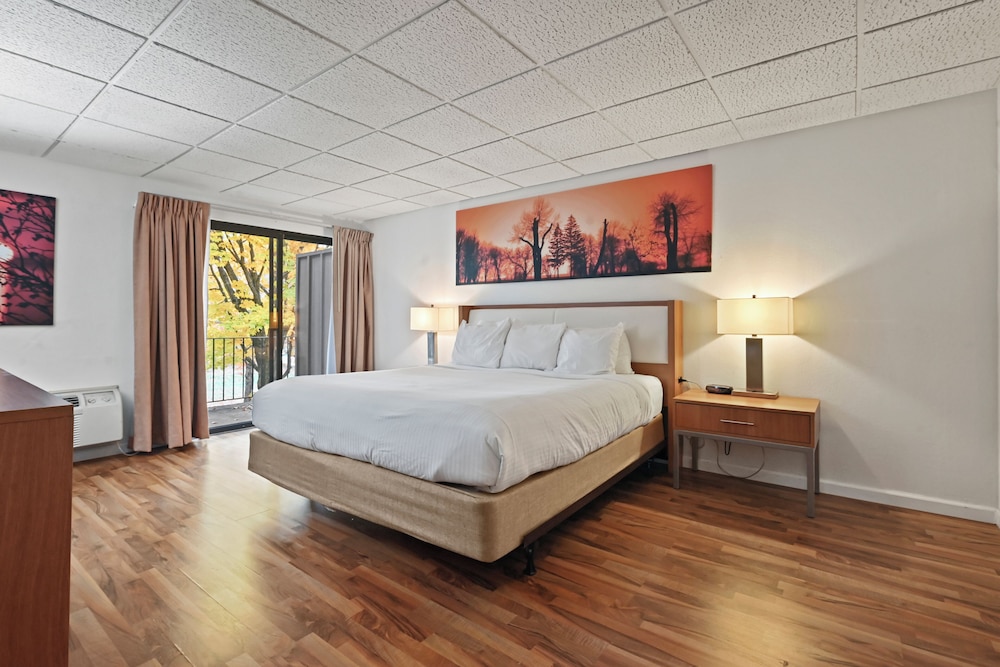 Mountain Laurel Resort