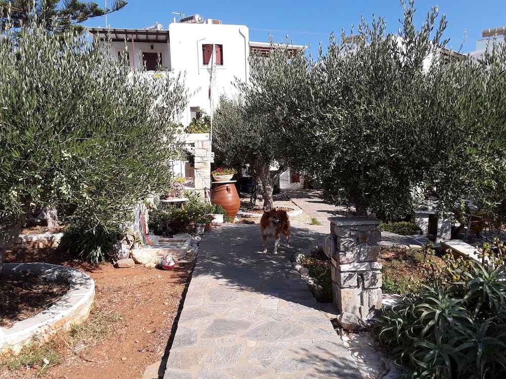 Hotel Sunset Studios & Apartments - Adults Only - Image 1