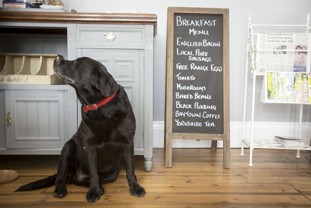 Fernleigh B&B