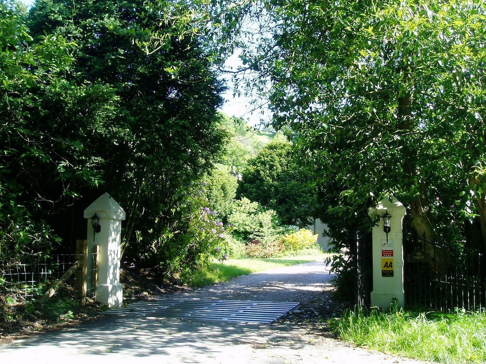 Photo 44