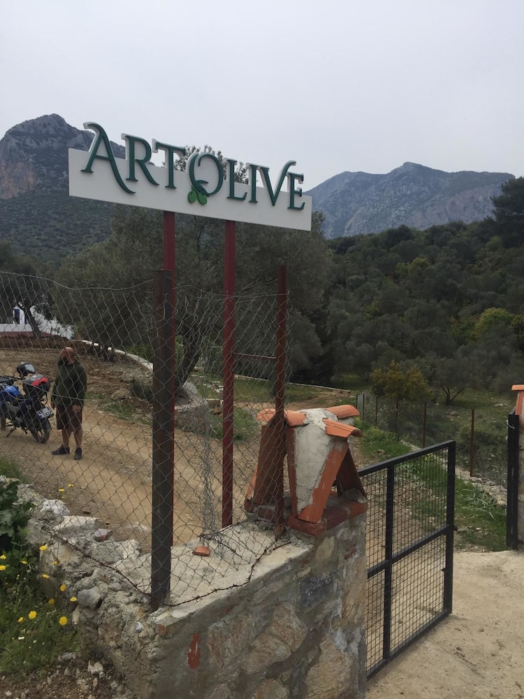 Artolive Datca