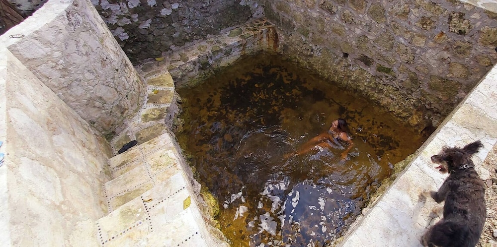 Mini Pini Birdwatching and Cenote Loft4 you Only