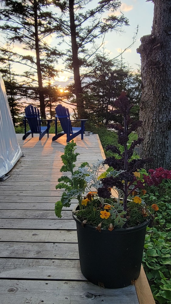 Haida Gwaii Glamping Co.