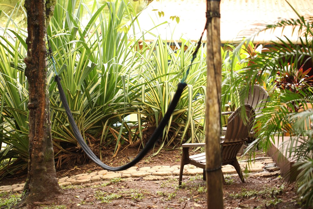 Tiki Lodge Bar & Restaurant - Hostel