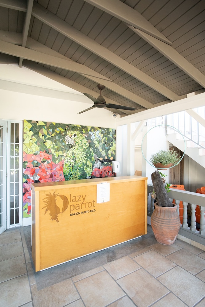 Lazy Parrot Inn - Property Image 34