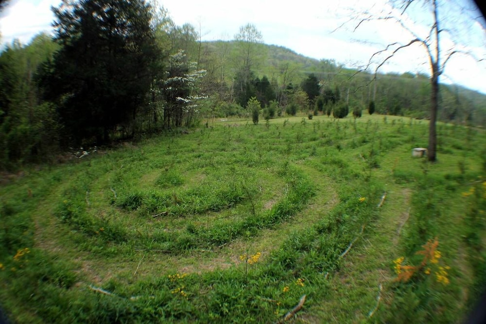 Photo 28