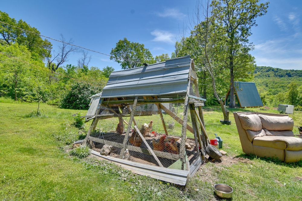 Serene Green Forest Hideaway w/ Spacious Yard view 3