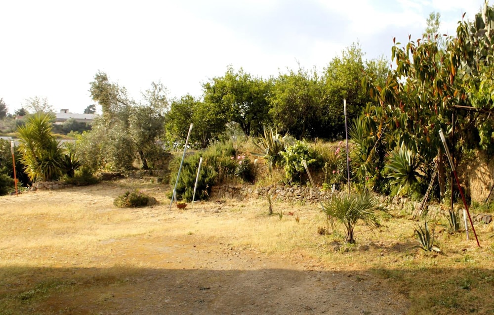 Photo 30