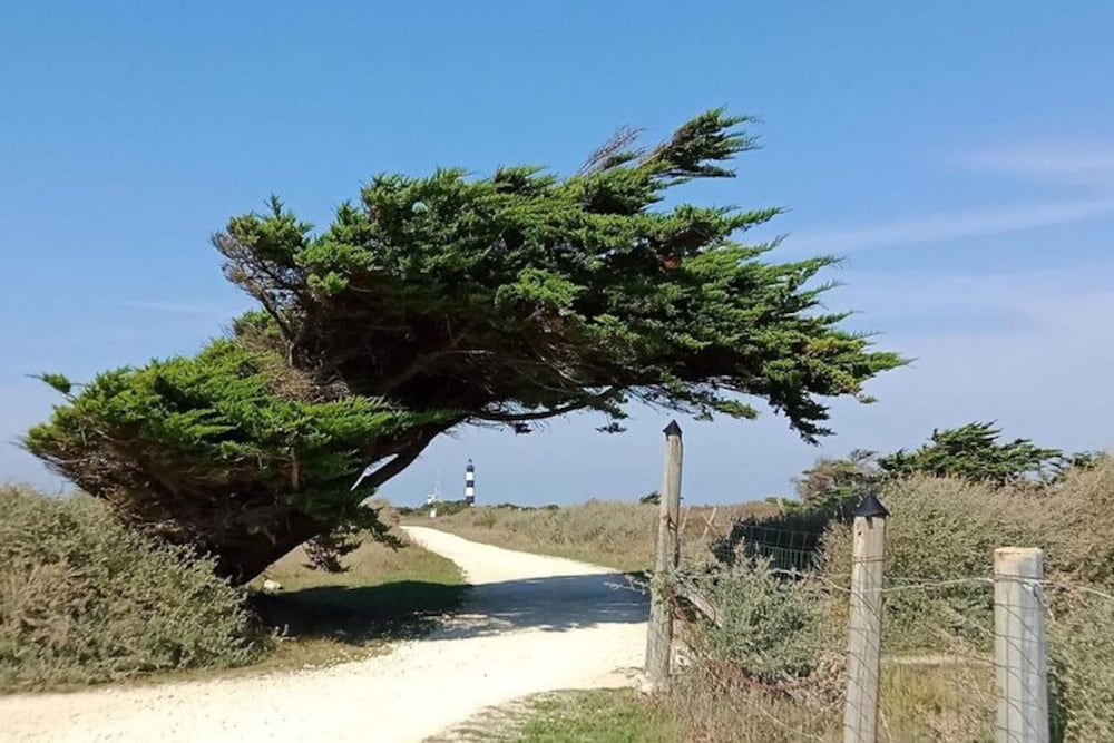 Les Hameaux des Sables Vignie, Saint-georges-d'oleron, Holiday Home not Detached photo 5
