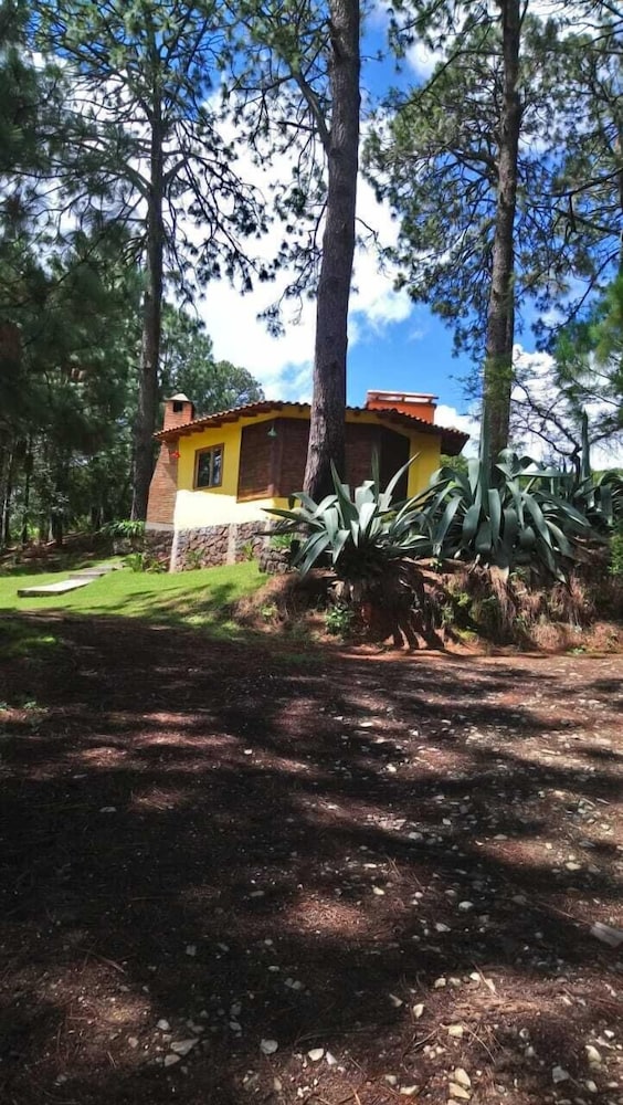 Cabañas el Pinar