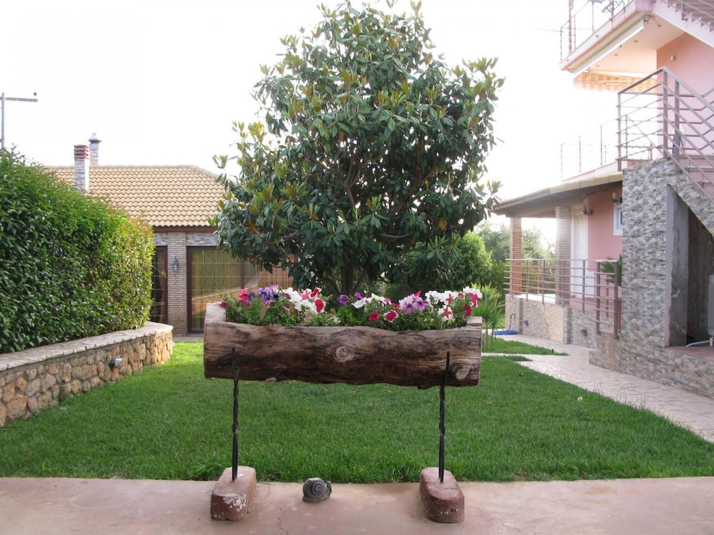 Seaview Flat in an Olive Grove by the Sandy Beach photo 4